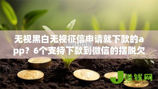 无视黑白无视征信申请就下款的app？6个支持下款到微信的摆脱欠款束缚贷款新平台