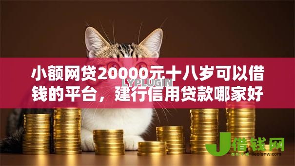 小额网贷20000元十八岁可以借钱的平台，建行信用贷款哪家好下款的5个平台介绍