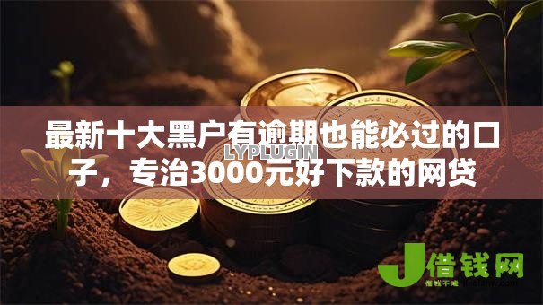 最新十大黑户有逾期也能必过的口子，专治3000元好下款的网贷