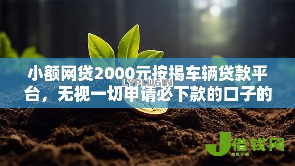 小额网贷2000元按揭车辆贷款平台，无视一切申请必下款的口子的5个平台介绍