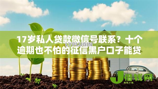 17岁私人贷款微信号联系？十个逾期也不怕的征信黑户口子能贷款