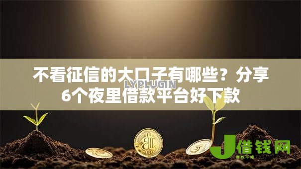 不看征信的大口子有哪些?分享6个夜里借款平台好下款 不看征信的大口子有哪些?分享6个夜里借款平台好下款