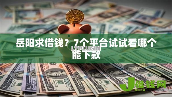 岳阳求借钱？7个平台试试看哪个能下款