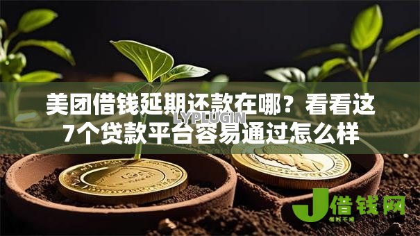 美团借钱延期还款在哪？看看这7个贷款平台容易通过怎么样