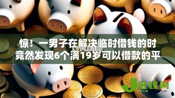 惊！一男子在解决临时借钱的时竟然发现6个满19岁可以借款的平台，事后分享了出来
