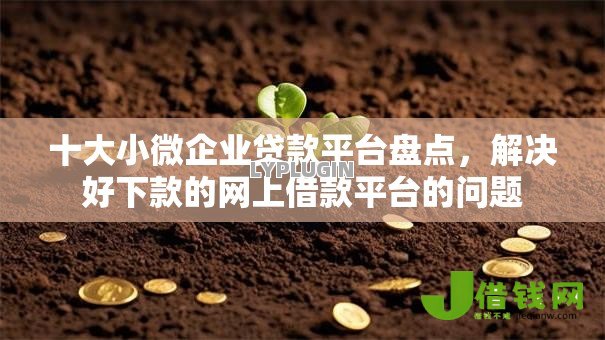 十大小微企业贷款平台盘点，解决好下款的网上借款平台的问题
