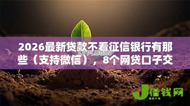 2026最新贷款不看征信银行有那些（支持微信），8个网贷口子交流论坛无私分享