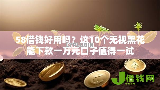 58借钱好用吗？这10个无视黑花能下款一万元口子值得一试