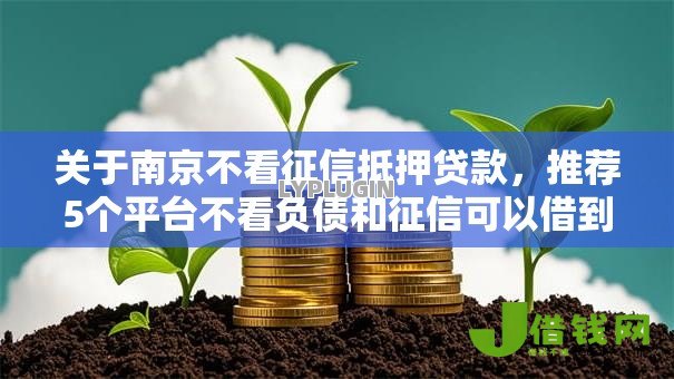 关于南京不看征信抵押贷款,推荐5个平台不看负债和征信可以借到钱给你 关于南京不看征信抵押贷款,推荐5个平台不看负债和征信可以借到钱给你