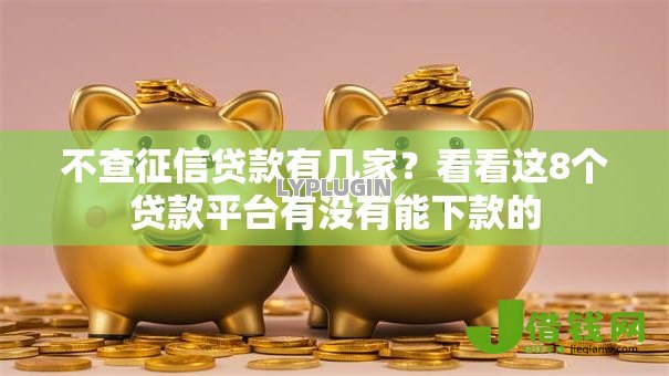 不查征信贷款有几家?看看这8个贷款平台有没有能下款的 不查征信贷款有几家?看看这8个贷款平台有没有能下款的