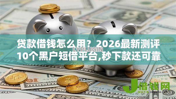 贷款借钱怎么用？2026最新测评10个黑户短借平台,秒下款还可靠
