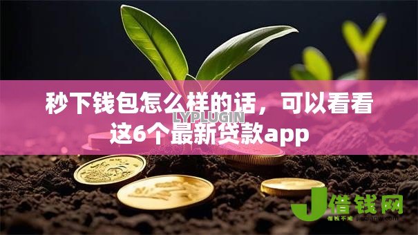 秒下钱包怎么样的话,可以看看这6个最新贷款app 秒下钱包怎么样的话,可以看看这6个最新贷款app