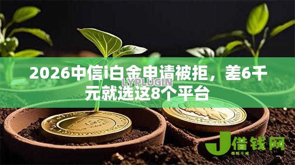 2026中信i白金申请被拒，差6千元就选这8个平台
