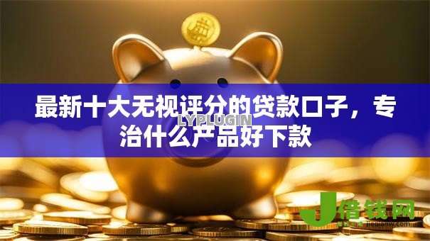 最新十大无视评分的贷款口子，专治什么产品好下款