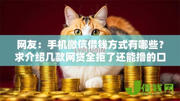 网友：手机微信借钱方式有哪些？求介绍几款网贷全拒了还能撸的口子