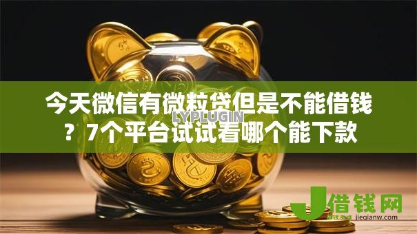 今天微信有微粒贷但是不能借钱？7个平台试试看哪个能下款