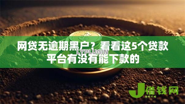 网贷无逾期黑户?看看这5个贷款平台有没有能下款的 网贷无逾期黑户?看看这5个贷款平台有没有能下款的
