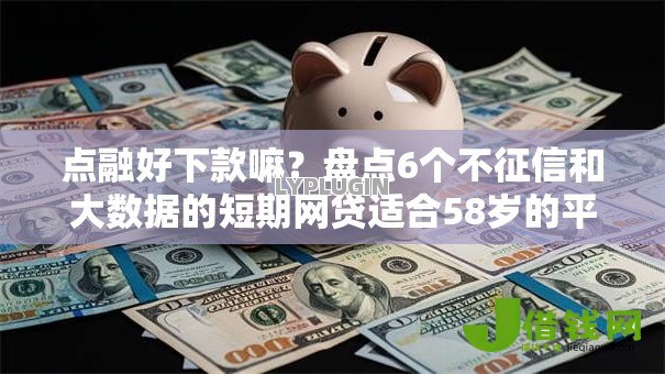 点融好下款嘛？盘点6个不征信和大数据的短期网贷适合58岁的平台给你参考