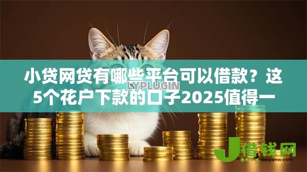 小贷网贷有哪些平台可以借款?这5个花户下款的口子2025值得一试 小贷网贷有哪些平台可以借款?这5个花户下款的口子2025值得一试