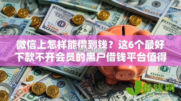 微信上怎样能借到钱？这6个最好下款不开会员的黑户借钱平台值得一试