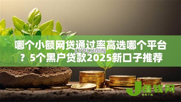 哪个小额网贷通过率高选哪个平台?5个黑户贷款2025新口子推荐 哪个小额网贷通过率高选哪个平台?5个黑户贷款2025新口子推荐
