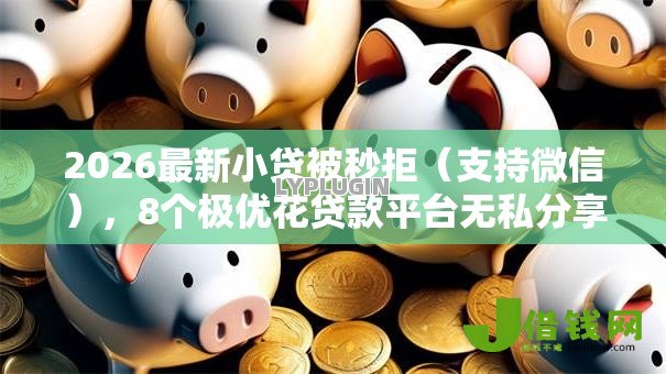 2026最新小贷被秒拒（支持微信），8个极优花贷款平台无私分享