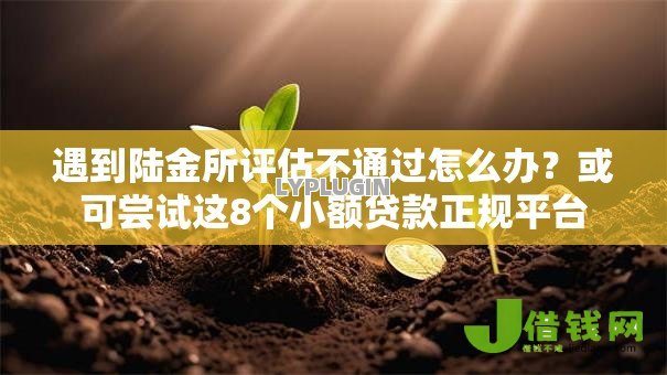 遇到陆金所评估不通过怎么办?或可尝试这8个小额贷款正规平台 遇到陆金所评估不通过怎么办?或可尝试这8个小额贷款正规平台