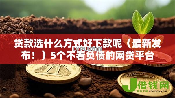 贷款选什么方式好下款呢(最新发布!)5个不看负债的网贷平台 贷款选什么方式好下款呢(最新发布!)5个不看负债的网贷平台