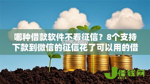 哪种借款软件不看征信?8个支持下款到微信的征信花了可以用的借款平台 哪种借款软件不看征信?8个支持下款到微信的征信花了可以用的借款平台