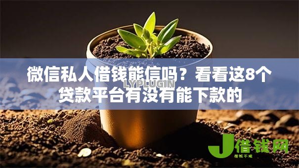微信私人借钱能信吗？看看这8个贷款平台有没有能下款的