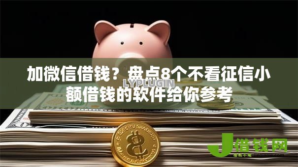 加微信借钱？盘点8个不看征信小额借钱的软件给你参考