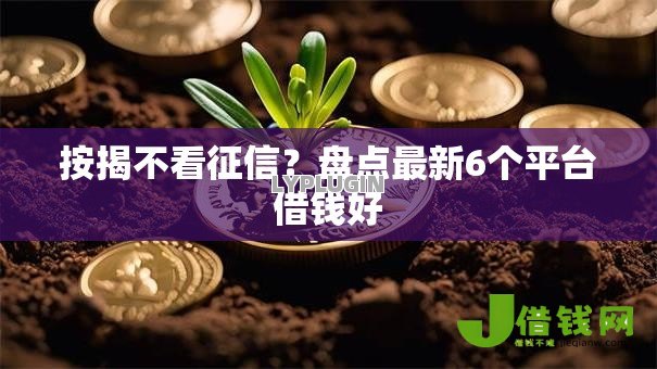 按揭不看征信？盘点最新6个平台借钱好