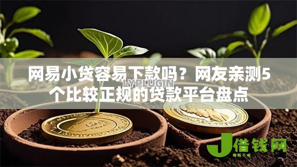网易小贷容易下款吗?网友亲测5个比较正规的贷款平台盘点 网易小贷容易下款吗?网友亲测5个比较正规的贷款平台盘点