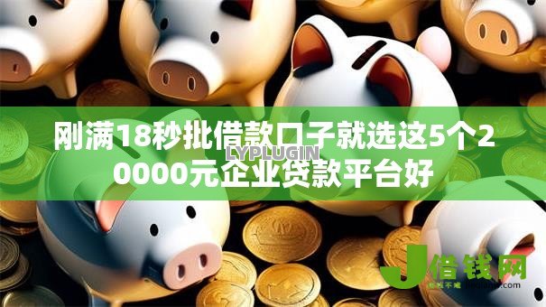 刚满18秒批借款口子就选这5个20000元企业贷款平台好