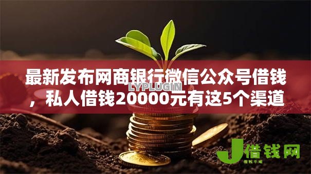 最新发布网商银行微信公众号借钱，私人借钱20000元有这5个渠道