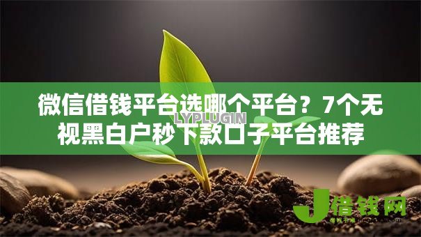 微信借钱平台选哪个平台？7个无视黑白户秒下款口子平台推荐