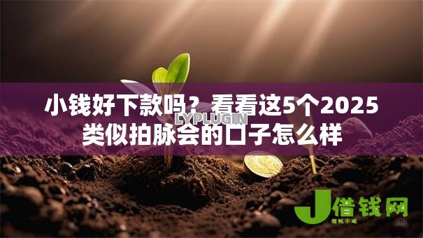 小钱好下款吗？看看这5个2025类似拍脉会的口子怎么样