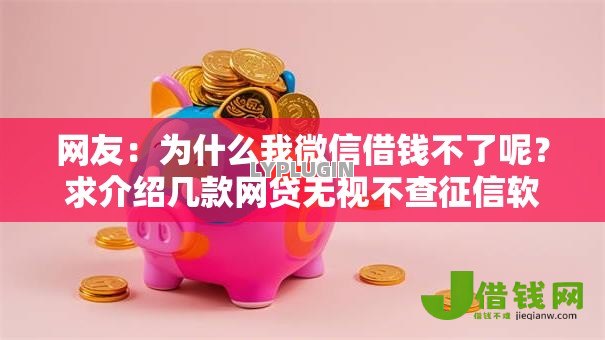 网友：为什么我微信借钱不了呢？求介绍几款网贷无视不查征信软件
