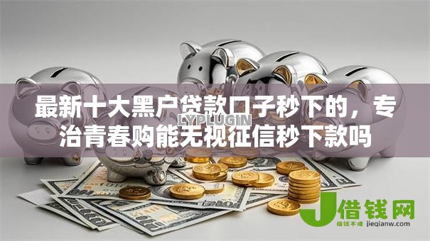 最新十大黑户贷款口子秒下的，专治青春购能无视征信秒下款吗