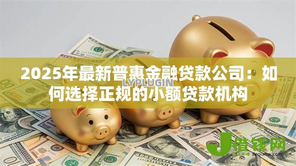 2025年最新普惠金融贷款公司:如何选择正规的小额贷款机构 2025年最新普惠金融贷款公司:如何选择正规的小额贷款机构