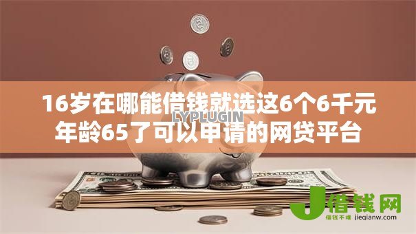 16岁在哪能借钱就选这6个6千元年龄65了可以申请的网贷平台 16岁在哪能借钱就选这6个6千元年龄65了可以申请的网贷平台