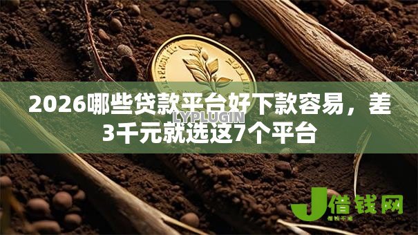 2026哪些贷款平台好下款容易,差3千元就选这7个平台 2026哪些贷款平台好下款容易,差3千元就选这7个平台