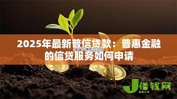 2025年最新普信贷款：普惠金融的信贷服务如何申请