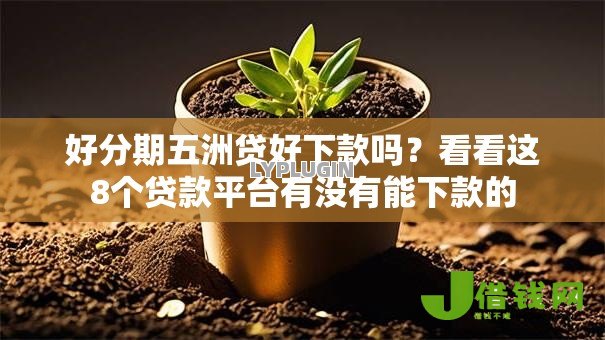 好分期五洲贷好下款吗？看看这8个贷款平台有没有能下款的