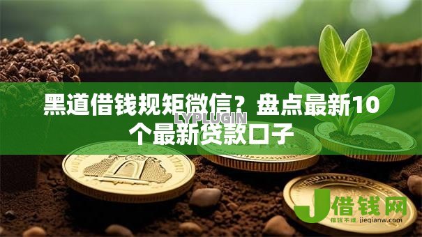 黑道借钱规矩微信？盘点最新10个最新贷款口子
