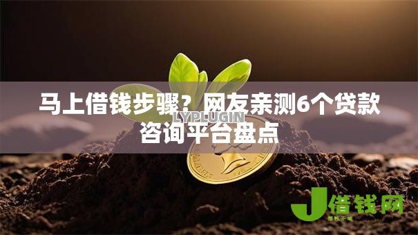 马上借钱步骤?网友亲测6个贷款咨询平台盘点 马上借钱步骤?网友亲测6个贷款咨询平台盘点