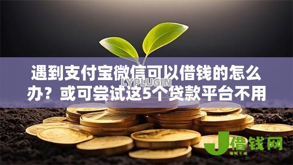 遇到支付宝微信可以借钱的怎么办？或可尝试这5个贷款平台不用人脸识别