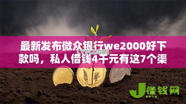 最新发布微众银行we2000好下款吗，私人借钱4千元有这7个渠道