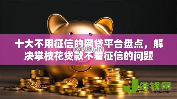 十大不用征信的网贷平台盘点,解决攀枝花贷款不看征信的问题 十大不用征信的网贷平台盘点,解决攀枝花贷款不看征信的问题
