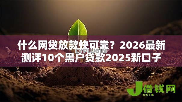 什么网贷放款快可靠?2026最新测评10个黑户贷款2025新口子 什么网贷放款快可靠?2026最新测评10个黑户贷款2025新口子